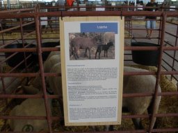 phoca_thumb_l_fotosnoviembre2012 2357